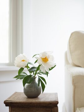 Large White Peony On Wooden Table
