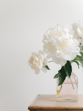 Large White Peony On Wooden Table