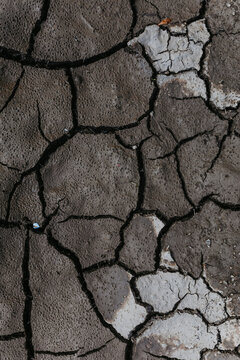 Cracked Land.