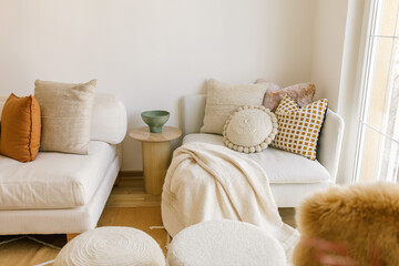 Interior living room decor