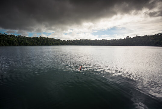Man swimming alone in wild tropical lake
