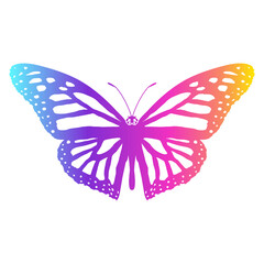 RGB GRADIENT BUTTERFLY BUNDLE PKG FILE 