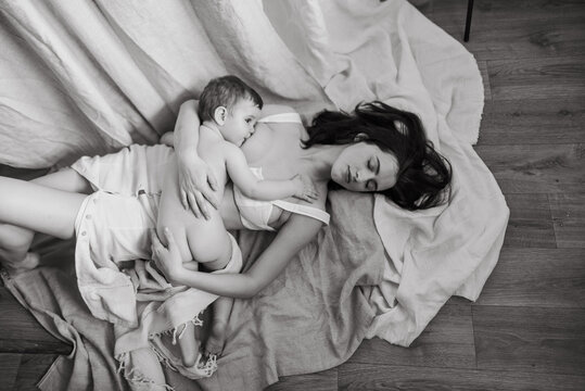 
lactation