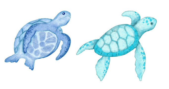 Watercolor illustration of turtle tortoise in blue turquoise purple colors, ocean sea underwater wildlife animals. Nautical summer beach design, coral reef life nature.