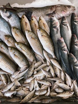 Fresh Fish in the street market