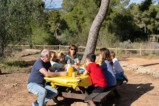 Multi generational family celebrating holiday in park