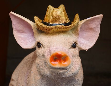 Ferkel mit Hut
