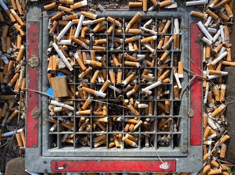 cigarette butts
