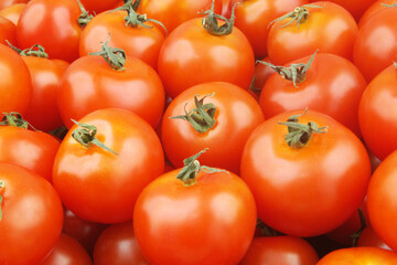 Many ripe tomatoes close up. Tomato background.