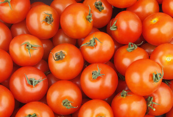 Many ripe tomatoes close up. Tomato background.