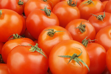Many ripe tomatoes close up. Tomato background.