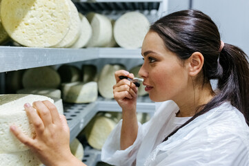 Artisan Cheese Factory