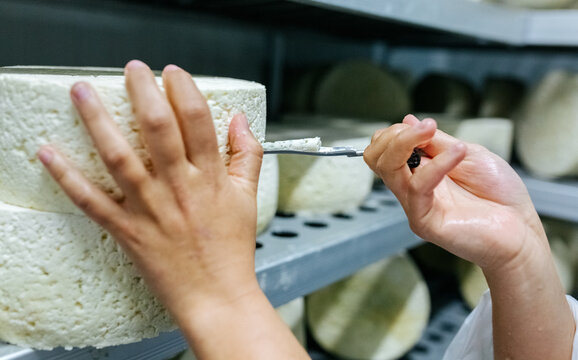 Artisan Cheese Factory