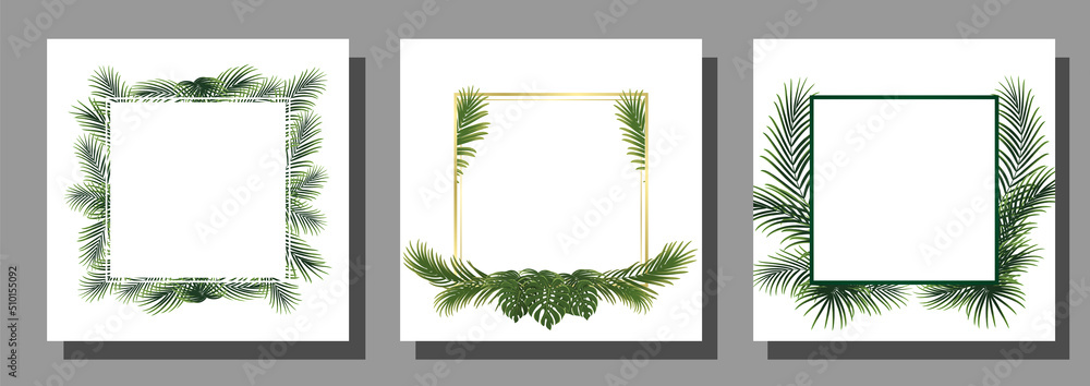 Wall mural set of frame with palm leaf