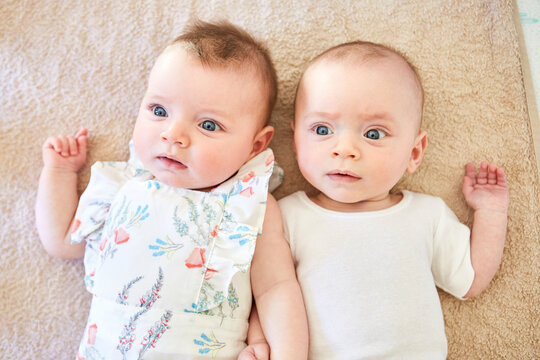 Baby twins 