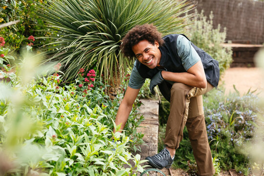Cheerful black male taking care of plants