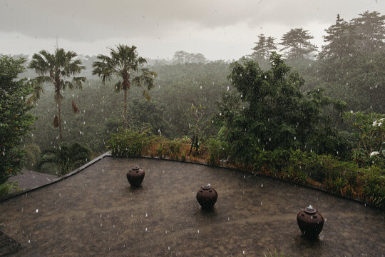Tropical rain.