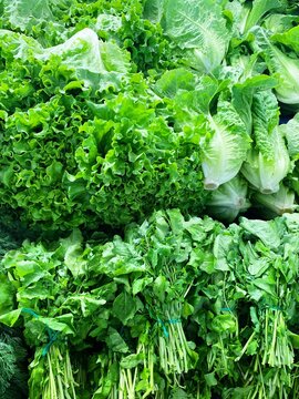 bunches of fresh lettuce and arugula