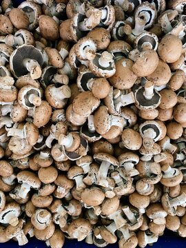 champignon mushrooms in the market