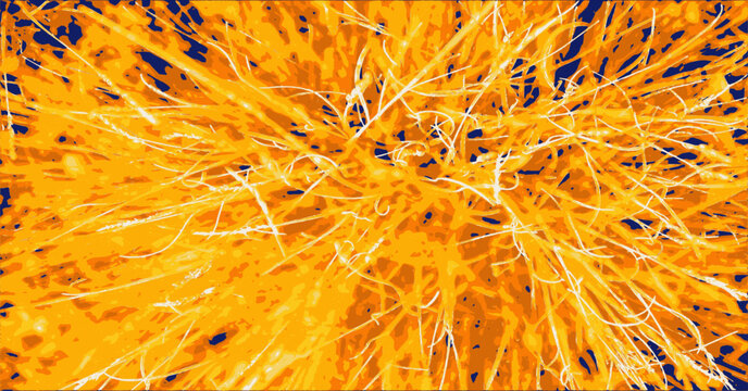 Vector macro drawing of a fescue in the glowing rays of a sunset. Top view, texture of graceful stalks and spikelets.