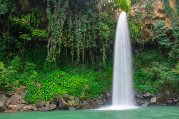 Waterfall scenery background surrounded by greenery in the forest