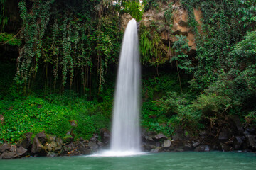 Waterfall scenery background surrounded by greenery in the forest