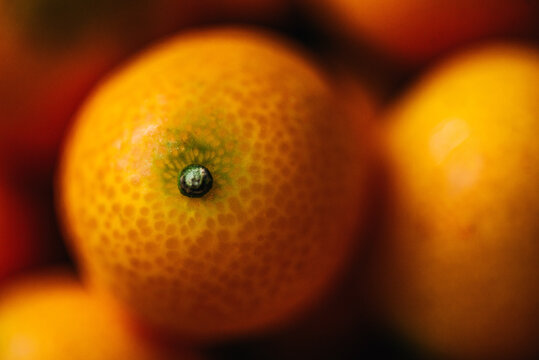 Kumquats