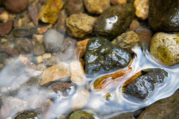 The background of the stones that are stagnant in the river water