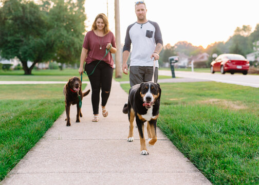 Couple walks their dogs down the sidewalk