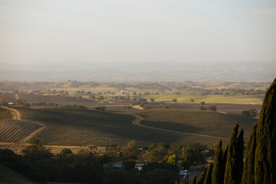 Sunset view of the vineyards and hills beyond in Paso Robles