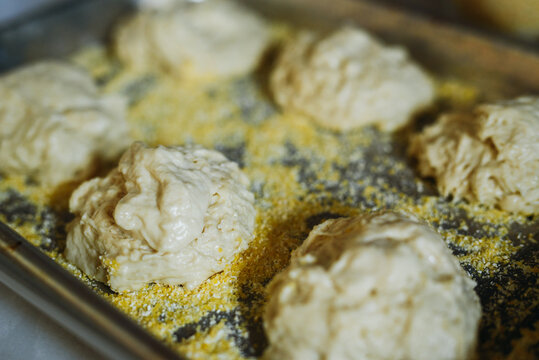 English Muffin Dough