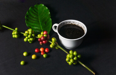 Photo of a cup of black coffee and fresh original coffee beans on a black background. Perfect for...