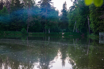 Obraz premium a lake in the woods late in the evening