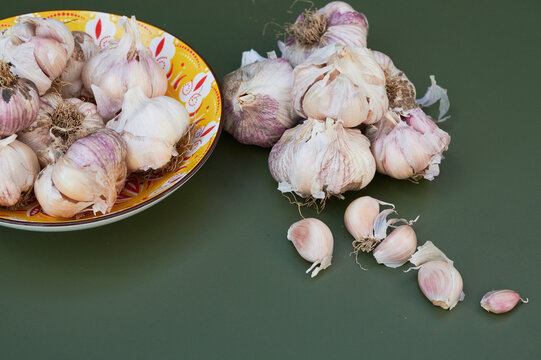 Purple garlic 