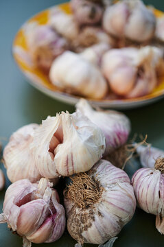Organic garlic bulbs