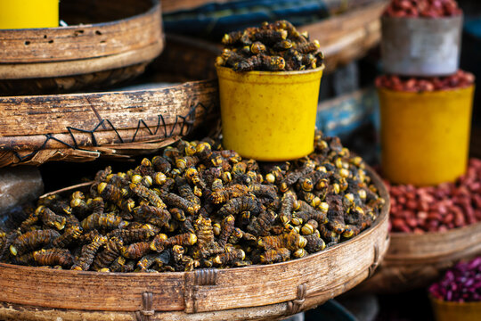 Dried caterpillars