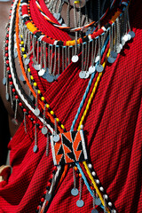 African wilde life. Kenya.