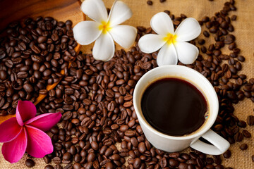 Close up cup of coffee on roasted coffee beans