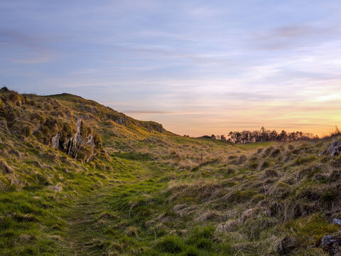 Golden hour at sunset over a grassy landscape