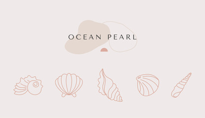 Modern minimal summer logo template with sea shell, palm tree linear icon and emblem for social media, accommodation rental and travel services, cafe