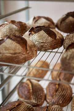 Loaves of bread in bakery