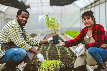 people happy planting new tree for celebrate world environment day in every 5 June together