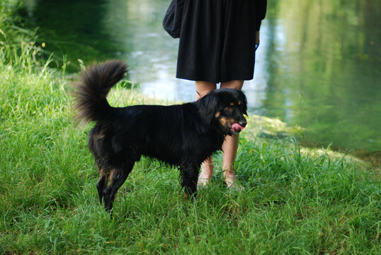 Anonymous woman and her dog by hte lake