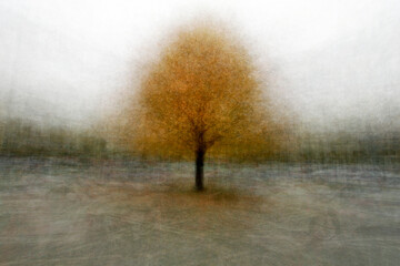 120 Trees Merged into One