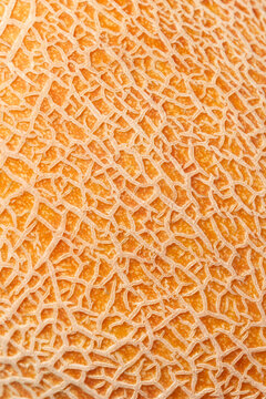 Macro texture of yellow melon peel.