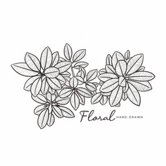 floral hand drawn 