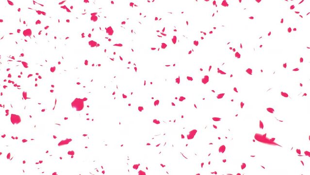 Download 150 Free Rose Petals Overlays for all Photoshop versions