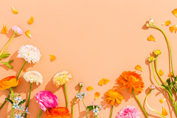 Rainbow Ranunculus Floral Flat Lay Background