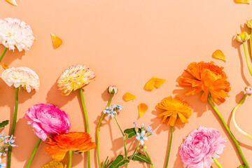 Rainbow Ranunculus Floral Flat Lay Background