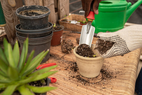Planting Process 